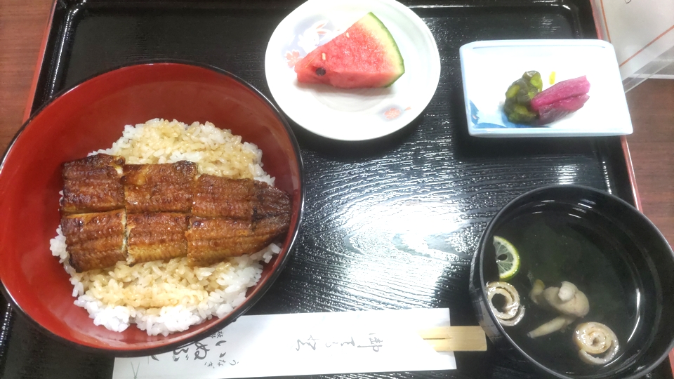 うなぎ いぬぶしでうなぎ丼を食す